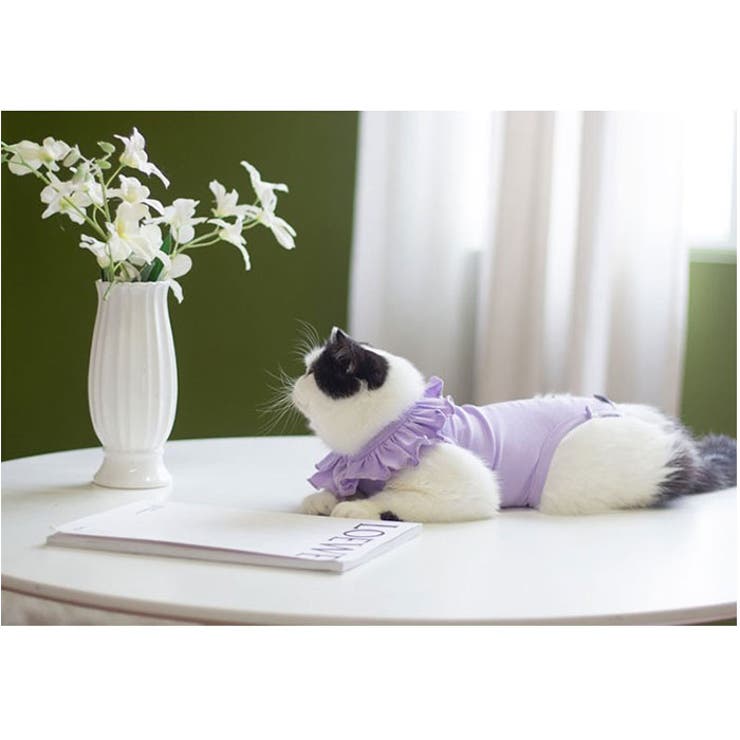 猫専用術後服フリル術後ウェア ykcatpc10[品番：BCYW0027733