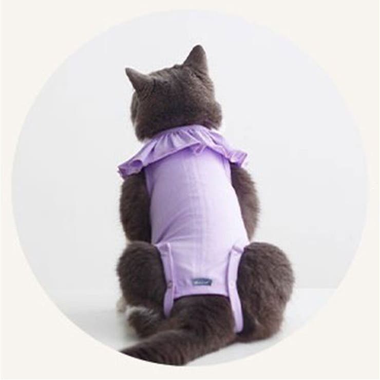 【ねこ☆様】専用　セットアップ(インナーセット) 5点おまとめ キッチン雑貨／ネックストラップ／縫製品シリーズ グッズ