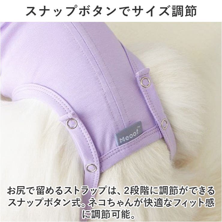 猫専用術後服フリル術後ウェア ykcatpc10[品番：BCYW0027733