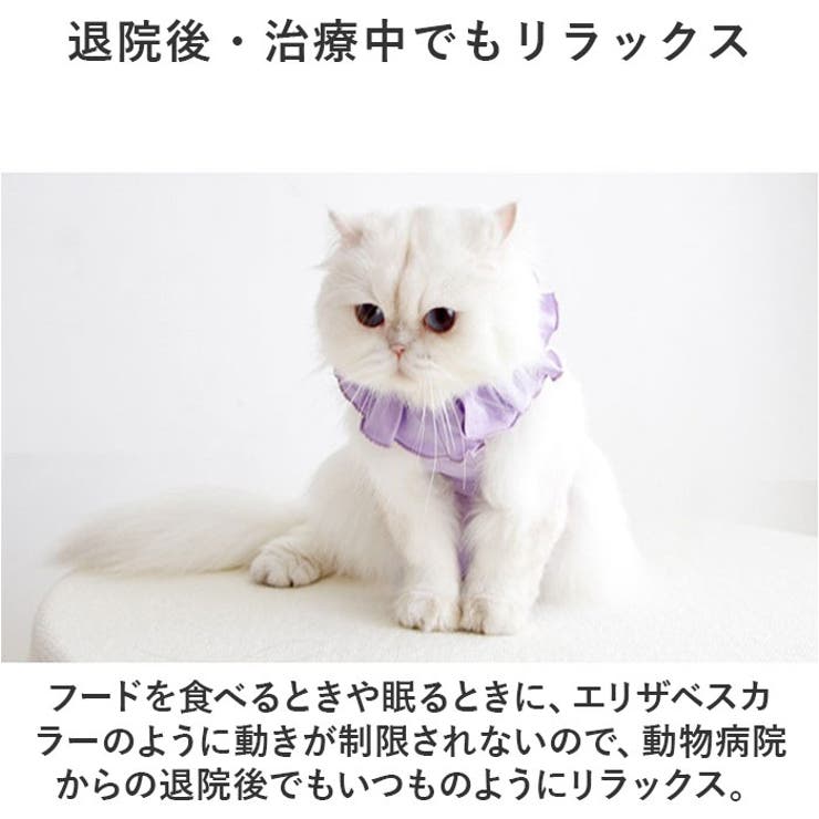 猫専用術後服フリル術後ウェア ykcatpc10[品番：BCYW0027733