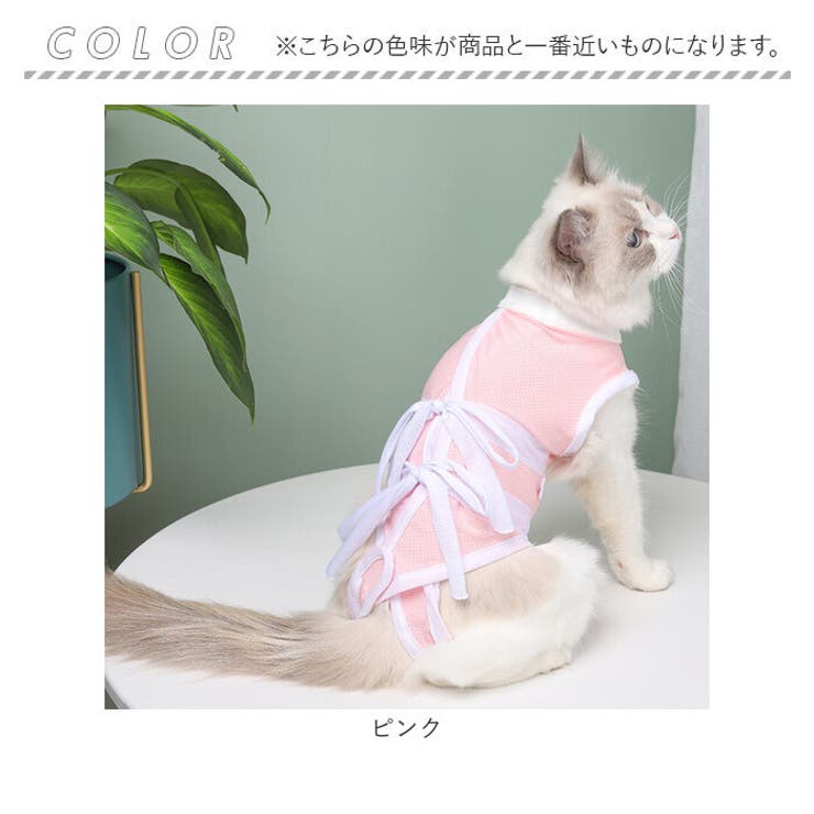 ペット用術後服 猫 ykyjf801[品番：BCYW0027533]｜BACKYARD  FAMILY（バックヤードファミリー）のファッション通販｜SHOPLIST（ショップリスト）
