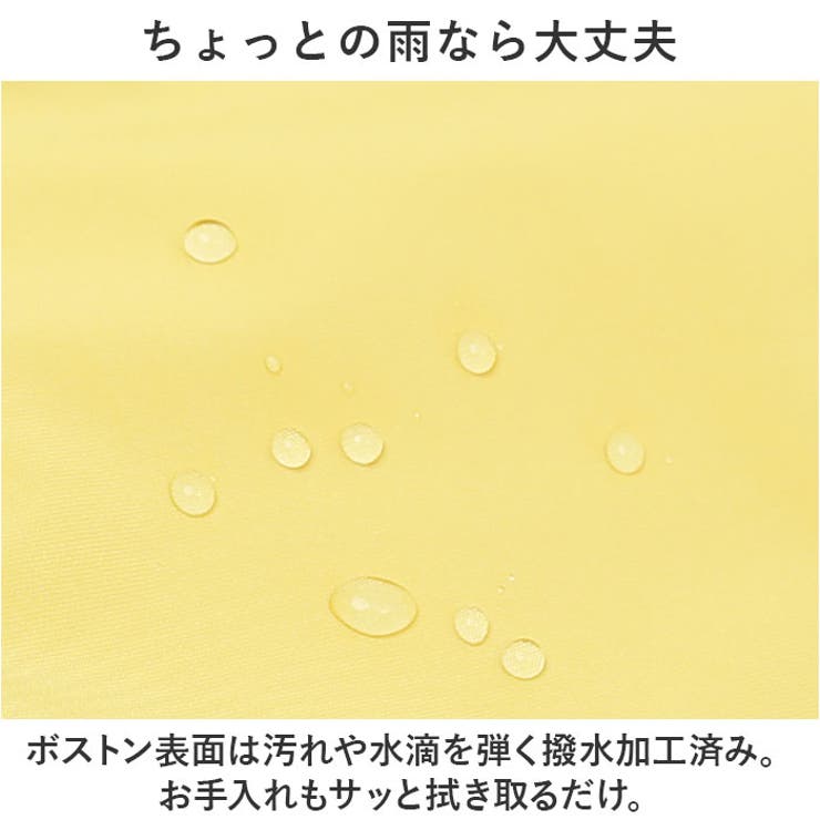 SOLEIL ウィークエンドボストンM | BACKYARD FAMILY | 詳細画像9 