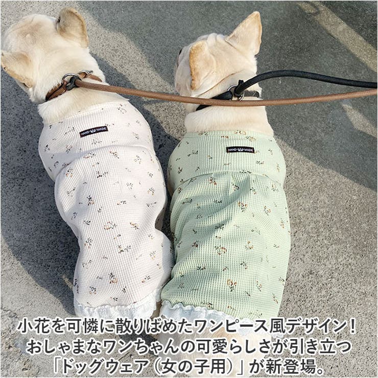 犬服 ドッグウェア 春 秋 可愛い mcfk036 | BACKYARD FAMILY | 詳細画像2 