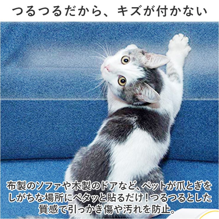 透明
