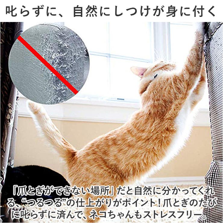 透明