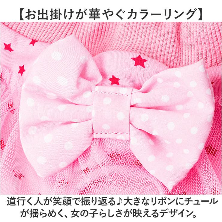 ペット 犬 マナーパンツ サニタリーパンツ リボン gpet6037 | BACKYARD FAMILY | 詳細画像10 