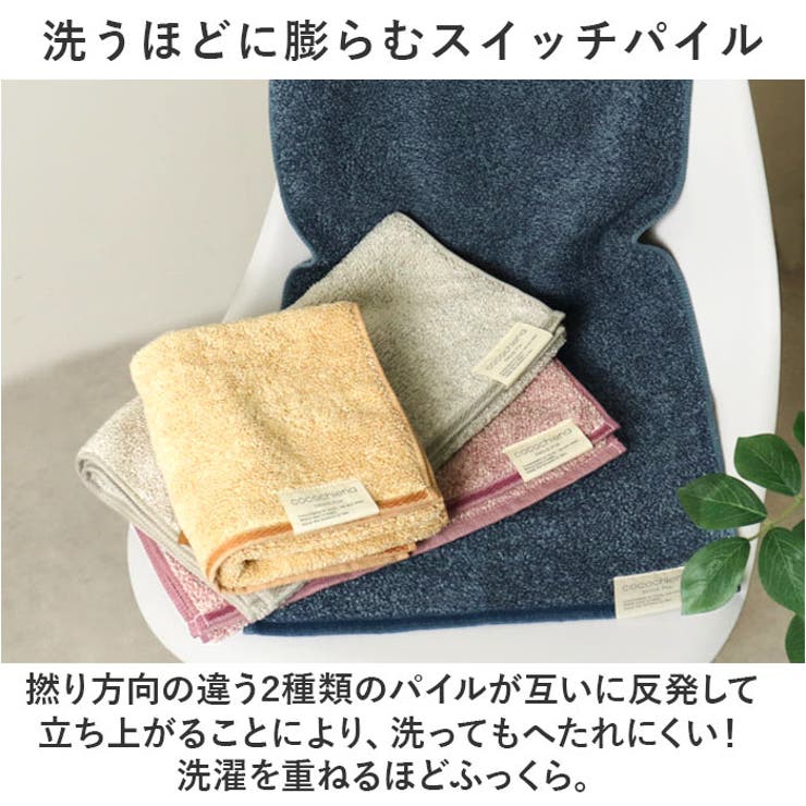 ココチエナ