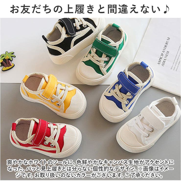 キッズ シューズ 上履き pmy219 | BACKYARD FAMILY | 詳細画像10 