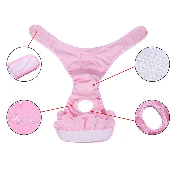 ペット 犬 マナーパンツ サニタリーパンツ かわいい gpet6047 | BACKYARD FAMILY | 詳細画像12 