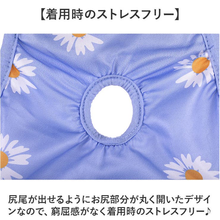 ペット 犬 マナーパンツ サニタリーパンツ かわいい gpet6047 | BACKYARD FAMILY | 詳細画像7 
