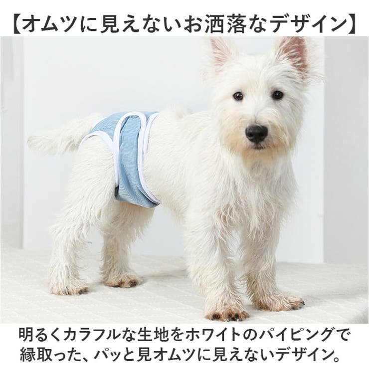 ペット 犬 マナーパンツ サニタリーパンツ 無地 おしゃれ | BACKYARD FAMILY | 詳細画像5 