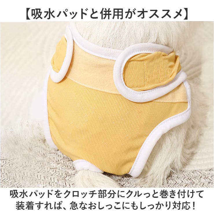ペット 犬 マナーパンツ サニタリーパンツ 無地 おしゃれ | BACKYARD FAMILY | 詳細画像7 