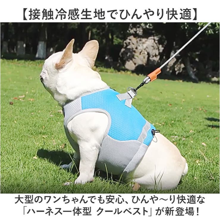 犬 ハーネス クールベスト | BACKYARD FAMILY | 詳細画像2 