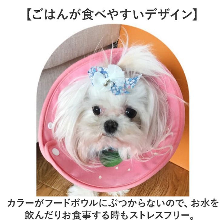 エリザベスカラー 犬用 猫用 ソフト | BACKYARD FAMILY | 詳細画像7 