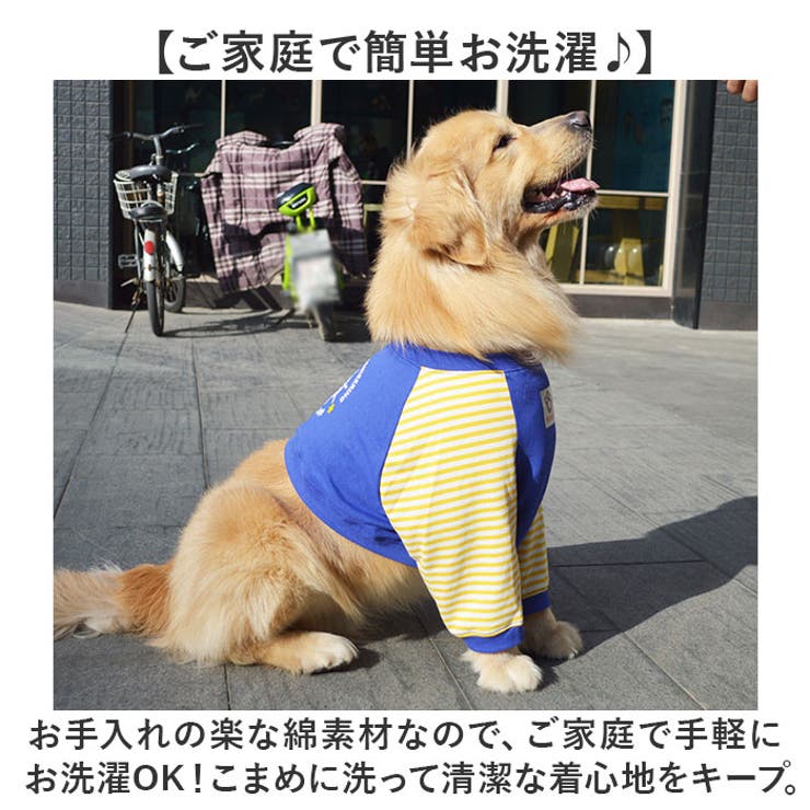 中大型犬用術後ウェア イヌ術後服 肘関節保護服[品番：BCYW0029904