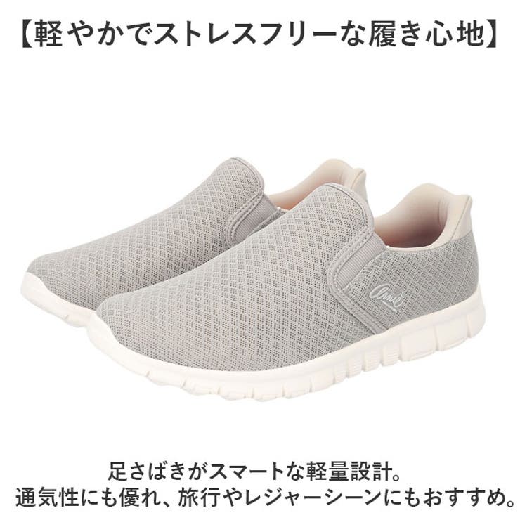 Arnie Arnold Palmer | BACKYARD FAMILY | 詳細画像3 