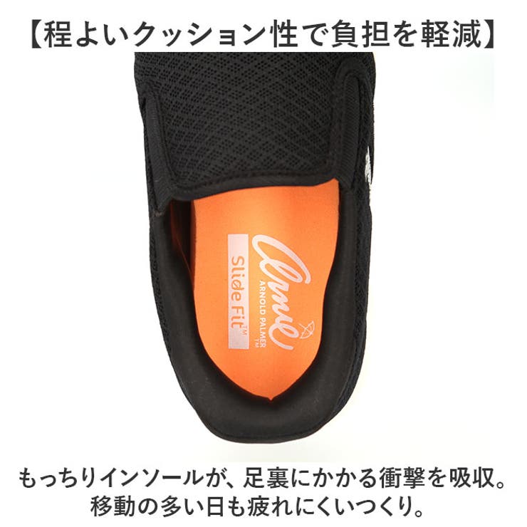 Arnie Arnold Palmer | BACKYARD FAMILY | 詳細画像6 