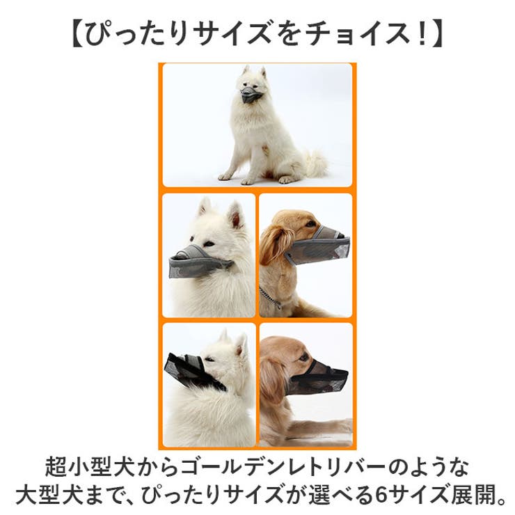 長頭種犬 口輪 マズル[品番：BCYW0029644]｜BACKYARD FAMILY（バック