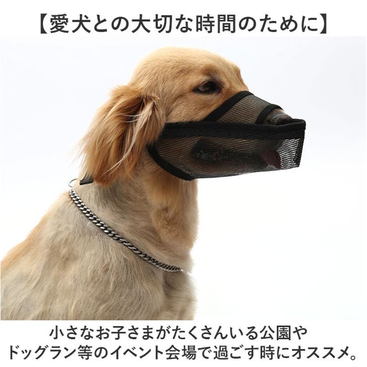 長頭種犬 口輪 マズル | BACKYARD FAMILY | 詳細画像12 