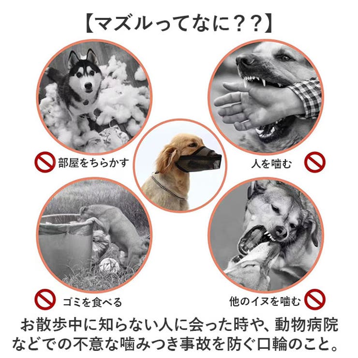 長頭種犬 口輪 マズル | BACKYARD FAMILY | 詳細画像3 
