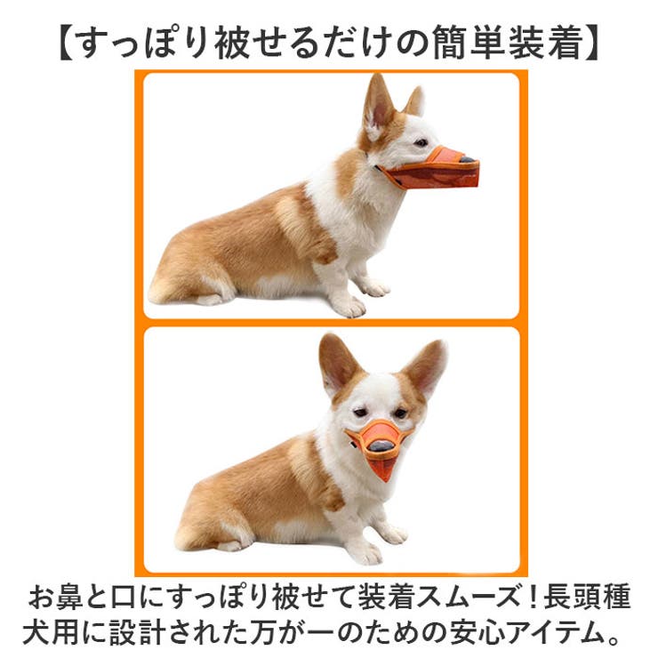 長頭種犬 口輪 マズル | BACKYARD FAMILY | 詳細画像4 