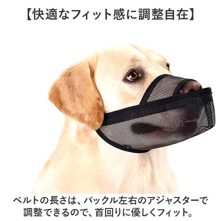 長頭種犬 口輪 マズル | BACKYARD FAMILY | 詳細画像8 
