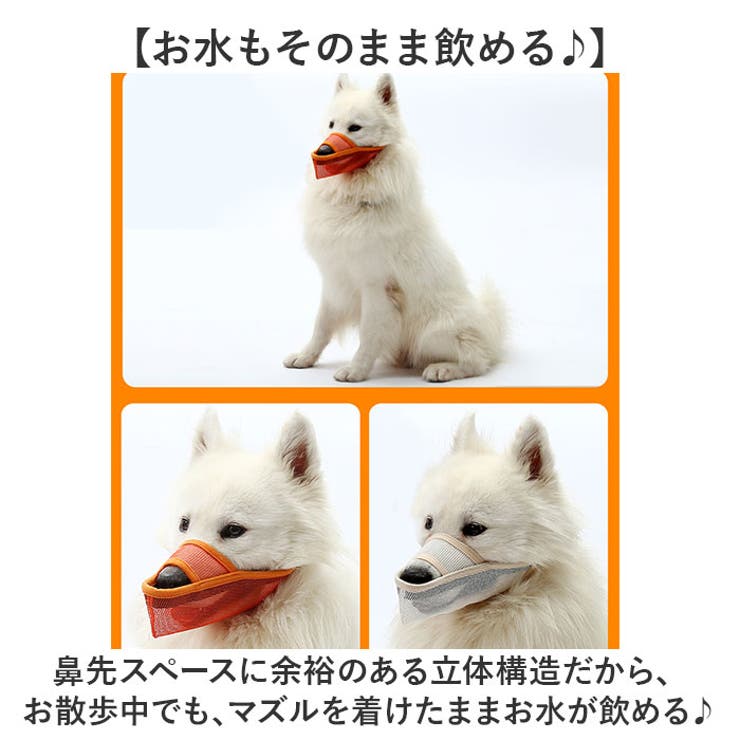 長頭種犬 口輪 マズル | BACKYARD FAMILY | 詳細画像9 