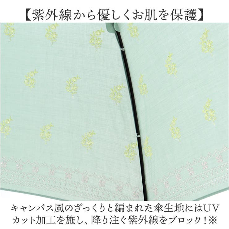 because ビコーズ 晴雨兼用長傘 | BACKYARD FAMILY | 詳細画像5 