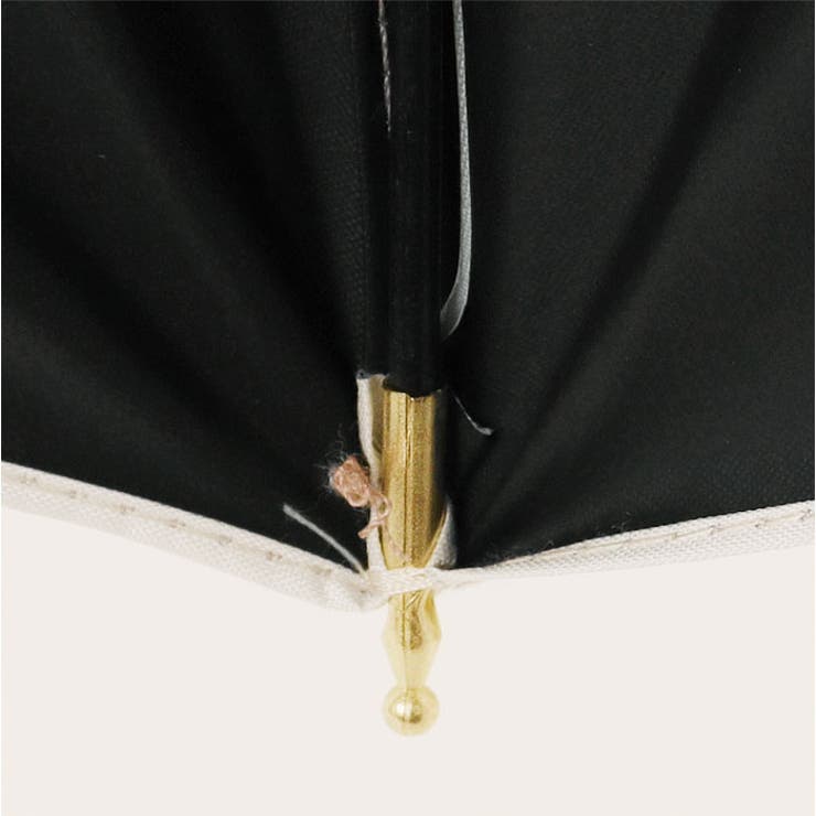 parasol