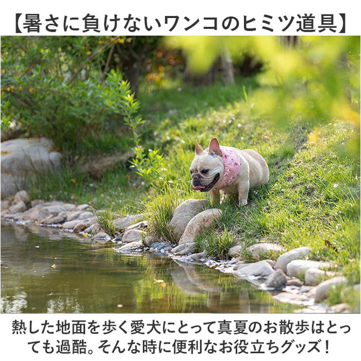 犬用 ネッククーラー | BACKYARD FAMILY | 詳細画像3 