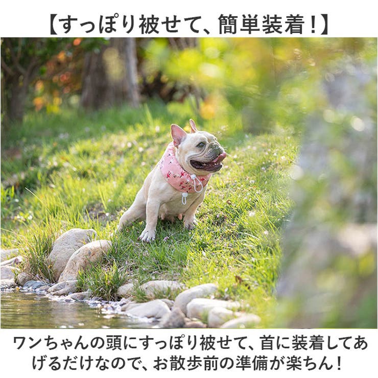 犬用 ネッククーラー | BACKYARD FAMILY | 詳細画像6 