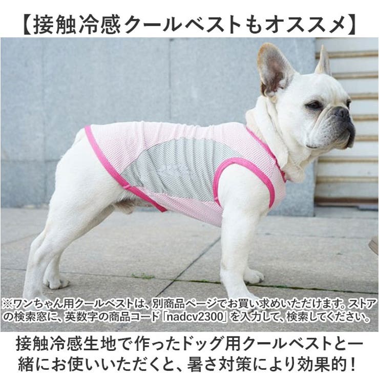 犬用 ネッククーラー | BACKYARD FAMILY | 詳細画像10 