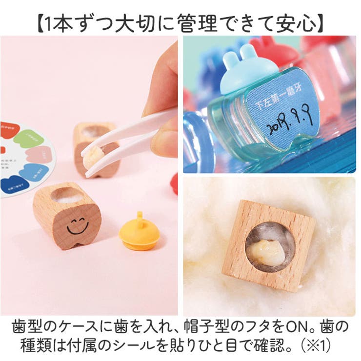 乳歯ケース | BACKYARD FAMILY | 詳細画像3 
