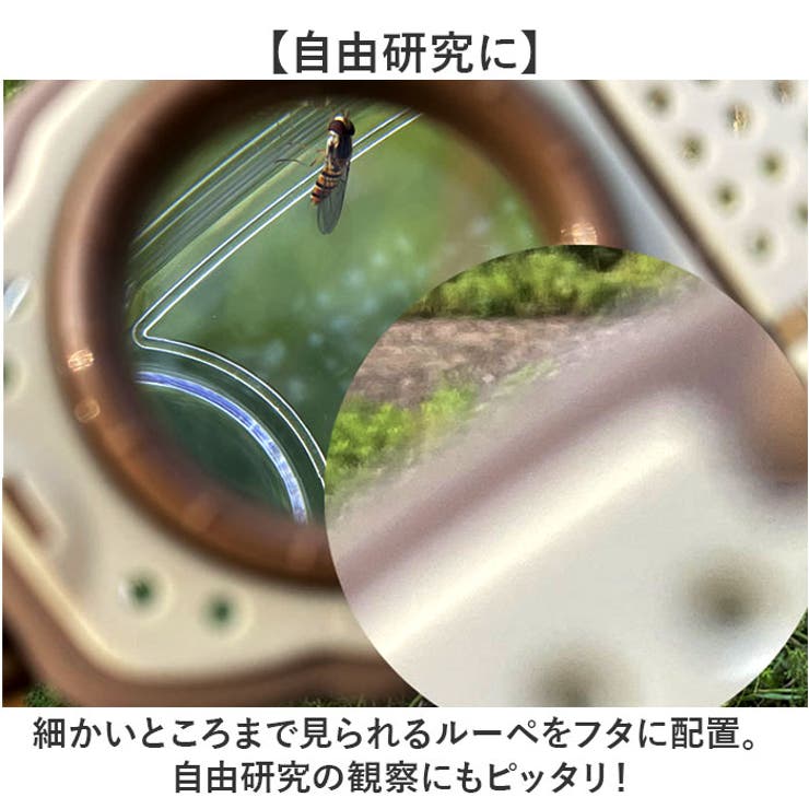 虫かご | BACKYARD FAMILY | 詳細画像4 