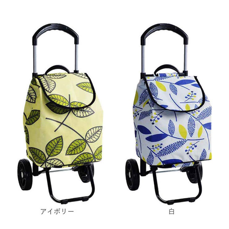 VALENTINO VISCANI ヴァレンチノ | BACKYARD FAMILY | 詳細画像18 