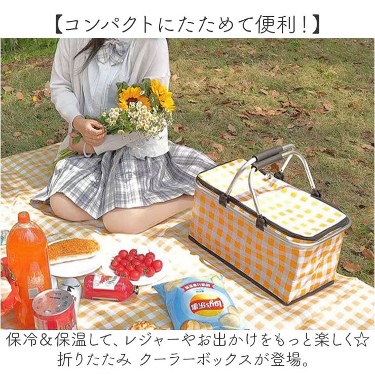 折りたたみ クーラーボックス 大容量 持ち運び | BACKYARD FAMILY | 詳細画像2 