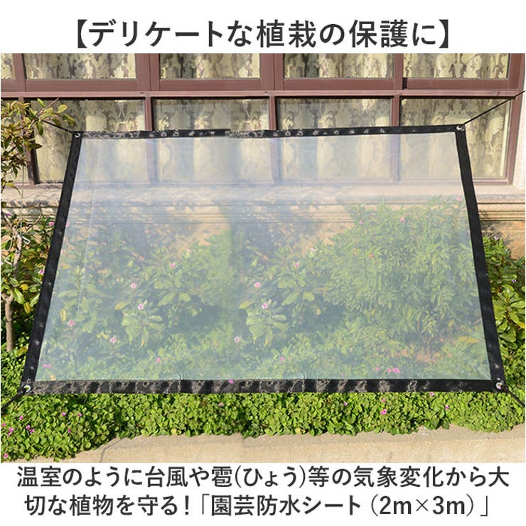 園芸防水シート ロープ付き 2ｍ×3ｍ | BACKYARD FAMILY | 詳細画像2 