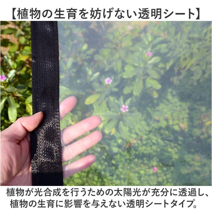 園芸防水シート ロープ付き 2ｍ×3ｍ | BACKYARD FAMILY | 詳細画像4 