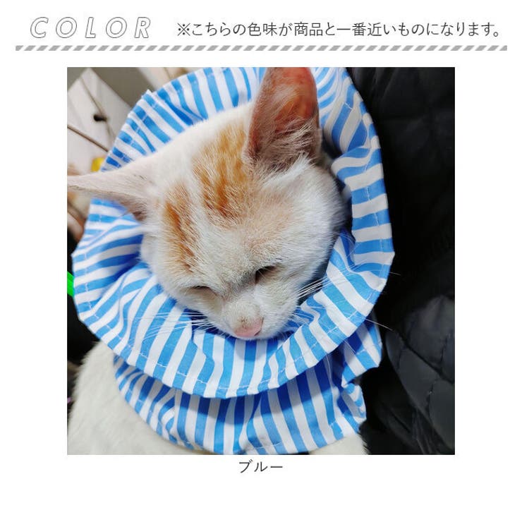 エリザベスカラー 猫 ソフト | BACKYARD FAMILY | 詳細画像11 