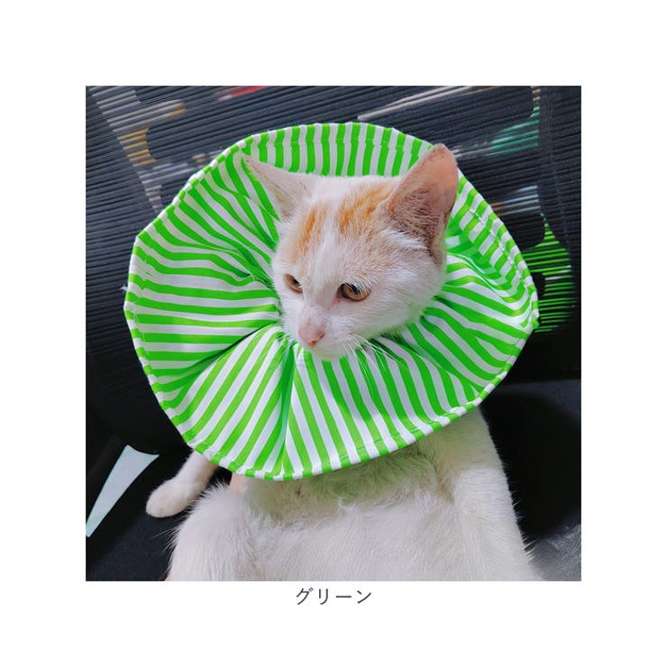 エリザベスカラー 猫 ソフト | BACKYARD FAMILY | 詳細画像12 
