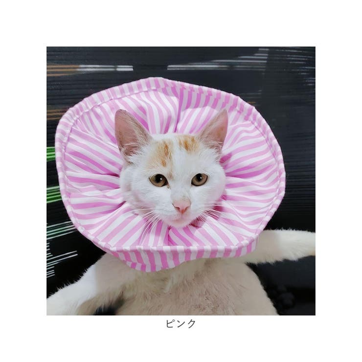 配送員設置 エリザベスカラー 猫 ソフト[品番：BCYW0031359]｜BACKYARD アクセサリー