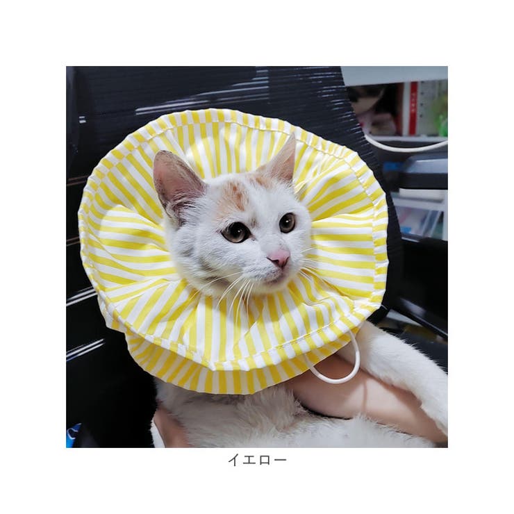 エリザベスカラー 猫 ソフト[品番：BCYW0031359]｜BACKYARD FAMILY