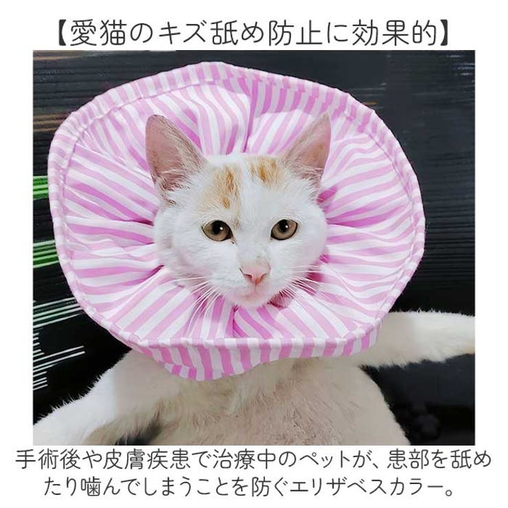 エリザベスカラー 猫 ソフト[品番：BCYW0031359]｜BACKYARD