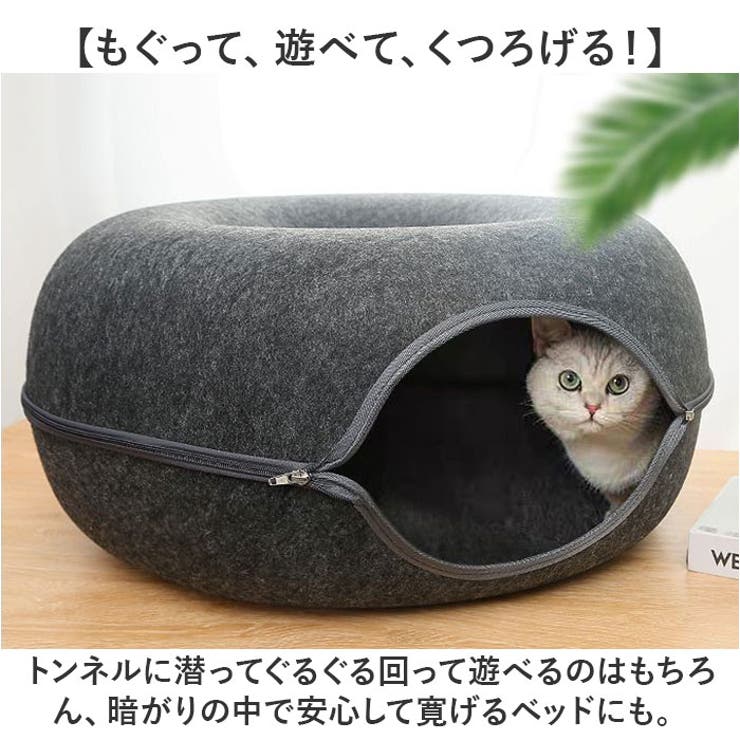 キャットハウス