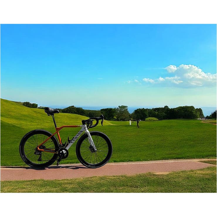 自転車サドル | BACKYARD FAMILY | 詳細画像14 