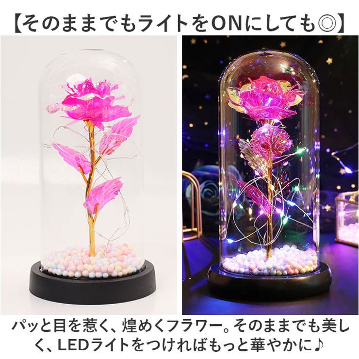 ガラスドーム 飾り おしゃれ LED付き[品番：BCYW0031091]｜BACKYARD
