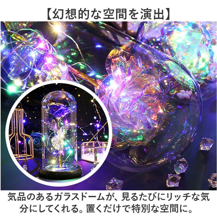ガラスドーム 飾り おしゃれ LED付き[品番：BCYW0031091]｜BACKYARD