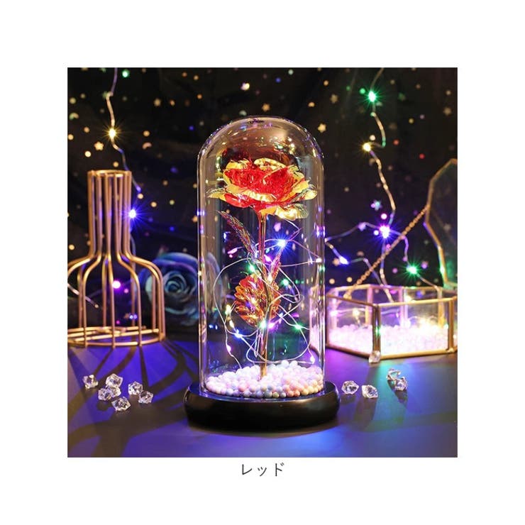 ガラスドーム 飾り おしゃれ LED付き[品番：BCYW0031091]｜BACKYARD