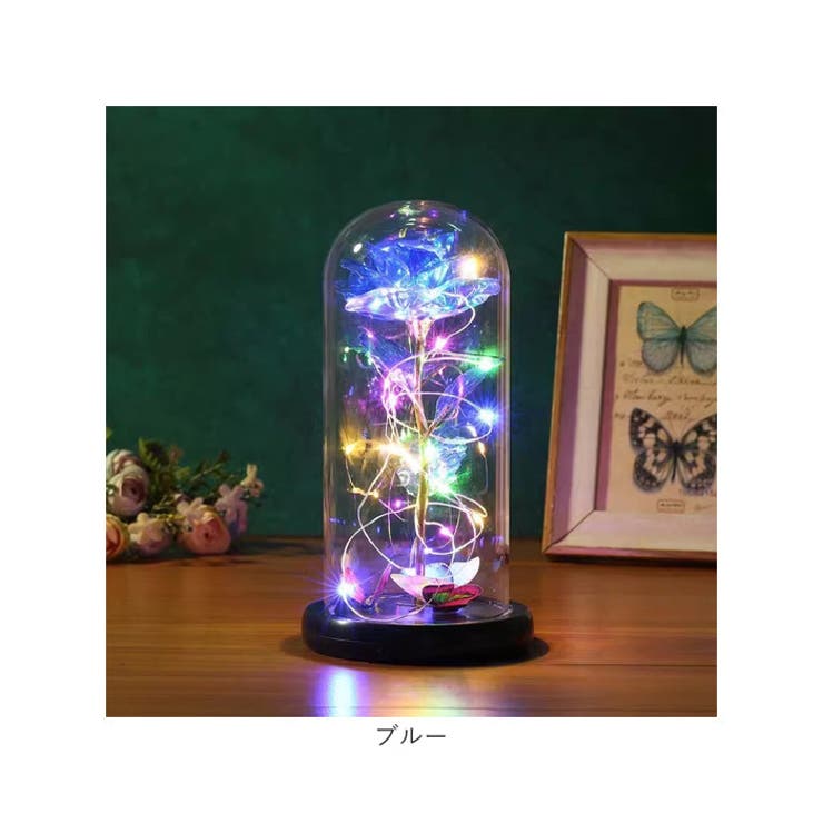 ガラスドーム 飾り おしゃれ LED付き | BACKYARD FAMILY | 詳細画像11 