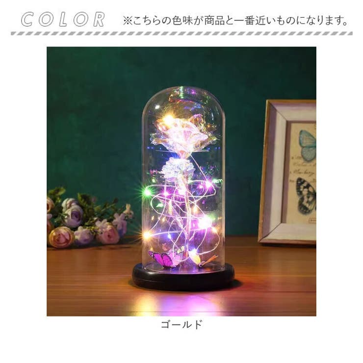 ガラスドーム 飾り おしゃれ LED付き | BACKYARD FAMILY | 詳細画像9 